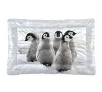 Vftphvr Dog Cat Bed Mat for Small Medium Pets, Soft Crate Pad Mattress Cushion No Slip Sleeping Kennel Mat Washable & Dry 24x18 inch Print Emperor Penguin Chicks on The Snow in Antarctica