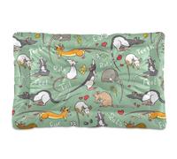 Vftphvr Dog Cat Bed Mat for Small Medium Pets, Soft Crate Pad Mattress Cushion No Slip Sleeping Kennel Mat Washable & Dry 36x24 inch Print Fancy Rats Teeth Tails Seamless On Green
