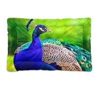Vftphvr Dog Cat Bed Mat for Small Medium Pets, Soft Crate Pad Mattress Cushion No Slip Sleeping Kennel Mat Washable & Dry 36x24 inch Print Beautiful Peacock on The Green