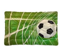 Vftphvr Dog Cat Bed Mat for Small Medium Pets, Soft Crate Pad Mattress Cushion No Slip Sleeping Kennel Mat Washable & Dry 24x18 inch Print Flying Soccer Ball On The Net Against Green