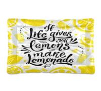 Vftphvr Dog Cat Bed Mat for Small Medium Pets, Soft Crate Pad Mattress Cushion No Slip Sleeping Kennel Mat Washable & Dry 24x18 inch Print Yellow Lemon Slices If Life Gives You Lemons Make