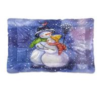 Vftphvr Dog Cat Bed Mat for Small Medium Pets, Soft Crate Pad Mattress Cushion No Slip Sleeping Kennel Mat Washable & Dry 36x24 inch Print Mr. Snowman and Mrs. Snowman Bird Snow Day Blue