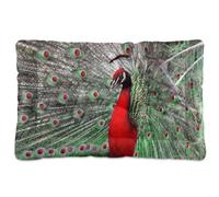 Vftphvr Dog Cat Bed Mat for Small Medium Pets, Soft Crate Pad Mattress Cushion No Slip Sleeping Kennel Mat Washable & Dry 24x18 inch Print Red Peacock with Beautiful Feathers