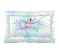 Vftphvr Dog Cat Bed Mat for Small Medium Pets, Soft Crate Pad Mattress Cushion No Slip Sleeping Kennel Mat Washable & Dry 36x24 inch Ballerinas Ballet Dance Dressed in Pink