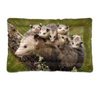 Vftphvr Dog Cat Bed Mat for Small Medium Pets, Soft Crate Pad Mattress Cushion No Slip Sleeping Kennel Mat Washable & Dry 24x18 inch Print Mother Rat with Lots of Rats On Back