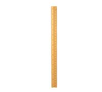 VGEBY Professional Grade Triangular Scale Ruler Durable Concave Design for Drafting Engineering Students 30cm (Gold)