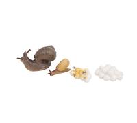 VGEBY Snail Growth Cycle Model with Miniature Garden Decoration