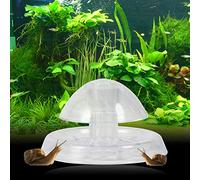 VGEBY Snail Trap, Plastic Material, Safe Aquarium Catcher, Effectively Catch Snails, Planarian and Leeches, Ideal for Aquariums and Fish Tanks