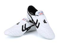 VGEBY1 Taekwondo Taekwondo Shoes Breathable Non Slip Taekwondo Sport Boxing Kung Fu Taichi Lightweight Shoes for Men and Women