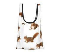VGFJHNDF Cute Squirrel Eco-Friendly Shopping Bag Reusable Foldable Grocery Bag Gift Bag Travel Tote Bag Shopper Bag,Holds 50+ Lbs