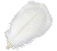 VGHJYNM 10piece Colored Ostrich Feathers for White Black Feather Decor Table Centerpieces Jewelry Decoration-White-50-55cm 20-22inch