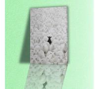 VGJfghTR White Sheep Herd Canvas Wall Art with Black Sheep Accent - Modern Minimalist Home Decor Poster(20x30cm/Internal Frame)