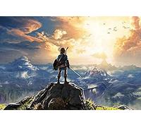 VGJM Diamond Painting Cartoon The Legend of Zelda Breath of The Wild Wall Art Picture Art Print Painting Landscape Home Wall Decor 50 * 60CM