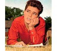 VGJM Diamond Painting Cliff Richard Round Diamond Painting Rhinestones Kitchen Decor Wall Stickers & Murals 40 * 40CM