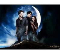 VGJM DIY 5D Diamond Painting Kits for Adults Kids,Twilight,Full Drill Diamond Embroidery Kits Cross Stitch Pictures Arts Craft Home Wall Decoration-30x40cm