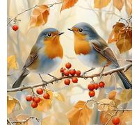 VGJM Two Bird Diamond Art Painting Kits for Adults, Full Drill Diamond Dots Paintings for Beginners, Round 5D Paint with Diamonds Pictures Gems Art Painting Kits DIY Crafts Kits 50x50cm