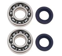 VGOL 2 Set Chain Saw Crankshaft Bearings and Shaft Seals Compatible with Stihl MS271 MS291 MS270 MS280 MS311 Main Bearing Seal Rebuild