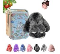 Vgpbphj Bunny Lulu Keychain with Tin, Christmas Cute Bunnylulu Keychain with Box, Handmade Soft Bunny Pompom Charms for Women Girl (A)
