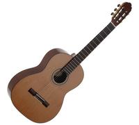 VGS Pro Andalus 10 - Natural Gloss