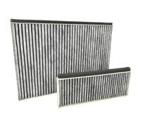 vhbw 2x Filter compatible with Neff D95IHM1S0, D85IBE1S0B/01, D65IHM1S0B/01 Extractor Hoods - 2x activated carbon filter Grey White