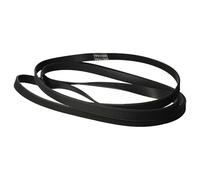 vhbw Drive Belt compatible with Constructa CWK4W361NL/12, CWK6W200/22, CWK4W361NL/10, CWK4W361NL/09 Tumble Dryer - 199.5 cm, Black