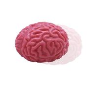 Vhjlfig 2 Pieces Brain Stress Toy Latex Material 7x6x5cm Squeezy Brain Ball Stress Relief Squishy Brains Toy Realistic Fake Organ Bloody Scary Squeeze Toys Promotes Healthy Thinking
