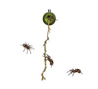 Vhjlfig House for Jumping Spiders, Realistic Foam Mesh Climbing Hutch for Spiders | Landscape for Centipedes, Reptiles, Geckos - Exploration, Rest, Feeding -