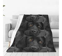 VhoMes Blanket Black Labrador Dog Soft Throw Blanket All Season Warm Blankets Lightweight Fuzzy Flannel Throws for Bed Sofa Couch 150X125 CM
