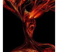 VHS Head - Persistence of Vision [VINYL]