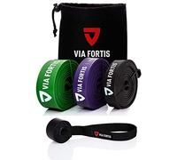VIA FORTIS Premium Resistance Bands + Exercise Guide and Bag - Resistance Bands/Pull-Up Band and Pull-Up Aid/Fitness Band/Training Bands for Fitness & Power Training
