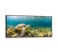 Via Vela Sea Turtle Canvas Wall Art Ocean Nature Prints Underwater Marine Life Painting Coral Water Plants Mural Posters for Living Room Decor 40x101cm with Black Frame