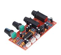 ViaGasaFamido PT2399 NE5532 Reverberation Karaoke Audio Amplifier Board, Continuous Adjustment For Mobile Coils, with Excellent Passage, 2 Microphone Outputs, For Most Audio Equipment