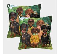 VIAGECSKE Dachshund Cushion Cover 2 Pack Decorative Machine Washable Pillowcases Square Pillow Cases with Invisible Zipper Cushion Covers for Outdoor Home Bed Decor Throw Pillow Cases 40x40cm