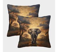 VIAGECSKE Elephant Cushion Cover Set of 2 Decorative Machine Washable Pillowcases Square Pillow Cases with Invisible Zipper Cushion Covers for Outdoor Home Bed Decor Throw Pillow Case 40x40cm