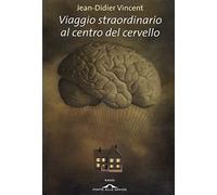Viaggio straordinario al centro del cervello