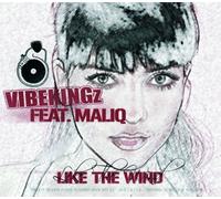 Vibekingz Feat. Maliq - Like the Wind