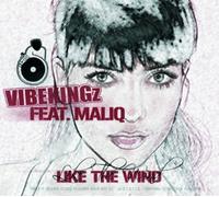 Vibekingz, Maliq - Like the Wind