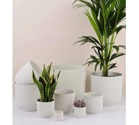 caprican Vibes White Plant Pot - Stylish Indoor & Outdoor Flower Pots for Small Plants, Cute Plastic Plant Pots for Houseplants (Silky White 18 cm)