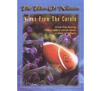 Vibes From The Corals