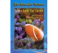 Vibes from the Corals [DVD]