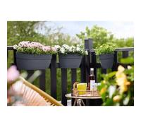 Vibia Campana Easy Hanger Medium Anthracite Planter