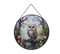 Vibrant Acrylic Casement Hanging Beautiful Glass Owl and Dragonfly Ornament (A)