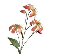 Vibrant and Lifelike Gloriosa Lily Flame Lily for Home Decoration Perfect for Any Living Room Setup (Orange)