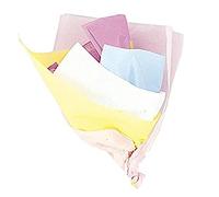 Vibrant Assorted Pastel Color Tissue Sheets (50cm x 66cm) 10 Count - Premium Quality, Large Gift-Wrapping Paper for Crafts, Decorations, and Special Occasions
