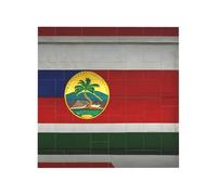 Vibrant Brick Puzzle Building Blocks for Creative Fun DIY Jigsaw Desk Decor Flag of Hawaii American Print