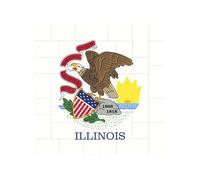 Vibrant Brick Puzzle Building Blocks for Creative Fun DIY Jigsaw Desk Decor Illinois State Flag Print