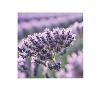 Vibrant Brick Puzzle Building Blocks for Creative Fun DIY Jigsaw Desk Decor Lavender Flower Print