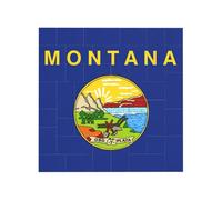 Vibrant Brick Puzzle Building Blocks for Creative Fun DIY Jigsaw Desk Decor Montana State Flag Print