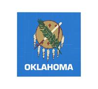 Vibrant Brick Puzzle Building Blocks for Creative Fun DIY Jigsaw Desk Decor Oklahoma State Flag Print