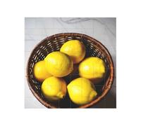 Vibrant Brick Puzzle Building Blocks for Creative Fun DIY Jigsaw Desk Decor One Basket Lemons Print